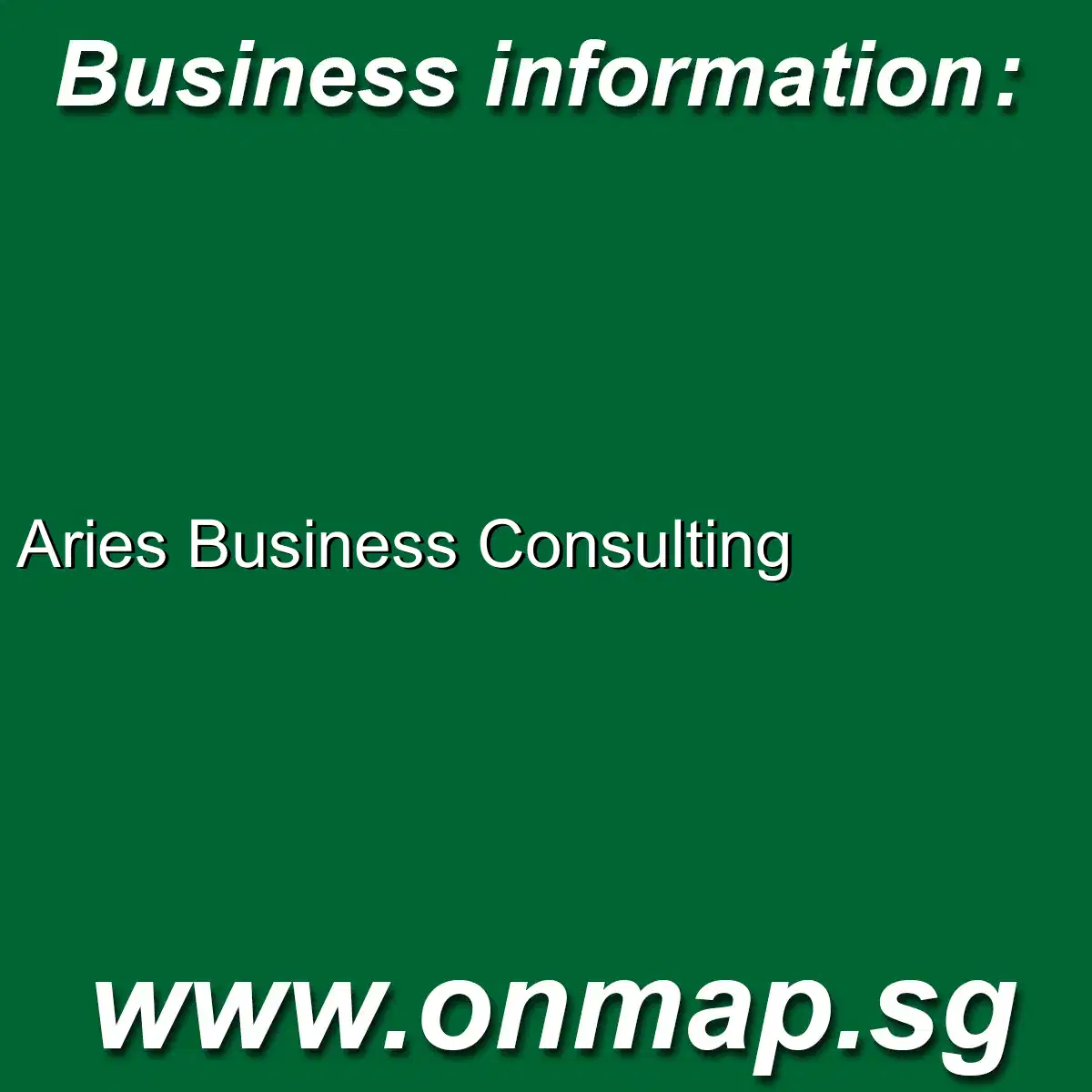 Aries Business Consulting.webp